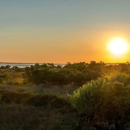 Villa Nissos Línia Buitenkant foto